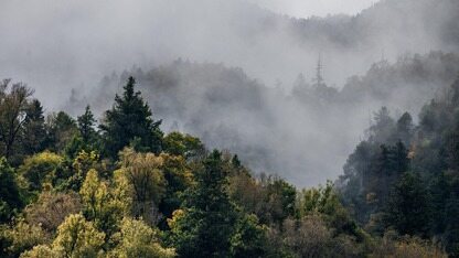 网易有道 LobsterAI 推出技能商店并支持 MCP 协议，打造更开放的智能体生态
