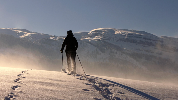 终端大模型操作系统的架构、优化与展望