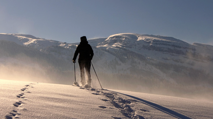 终端大模型操作系统的架构、优化与展望