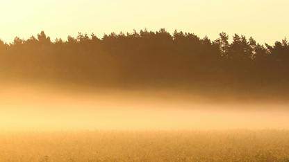 通过架构建议流程实现架构决策的去中心化