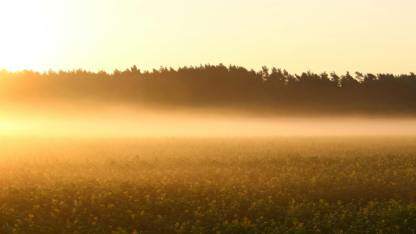 待到山花烂漫时:鸿蒙开发者 用代码灌溉鸿蒙花园
