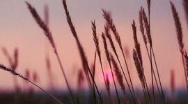 Grafana和Gitlab引入无服务器CI/CD可观察性集成