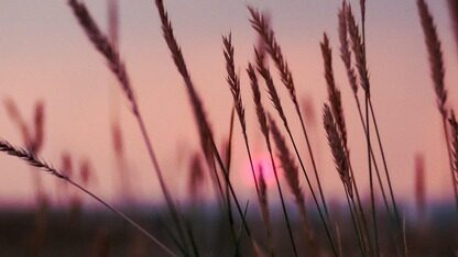 【HarmonyOS-媒体技术-AVPlayer】手把手教你用 AVPlayer 实现外挂字幕(ArkTS 详解)