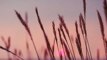 Cloudflare被React坑了!两周内二次“翻车”:沉睡15年的老代码一招KO全球互联网,安全升级反酿史诗级宕机