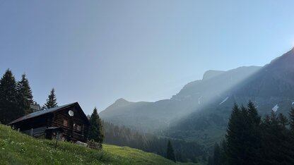 怎么实现类似于练字的功能？