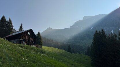 谷歌最新 Gemini Agent 爆击GPT-5.2?人类最后考试得分见分晓!网友:Altman又该发“红色警报”了