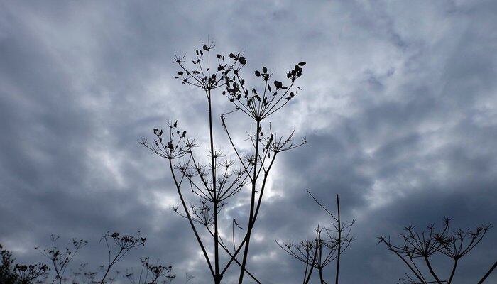 程序开发者去世，代码没人懂，一个bug导致千万损失