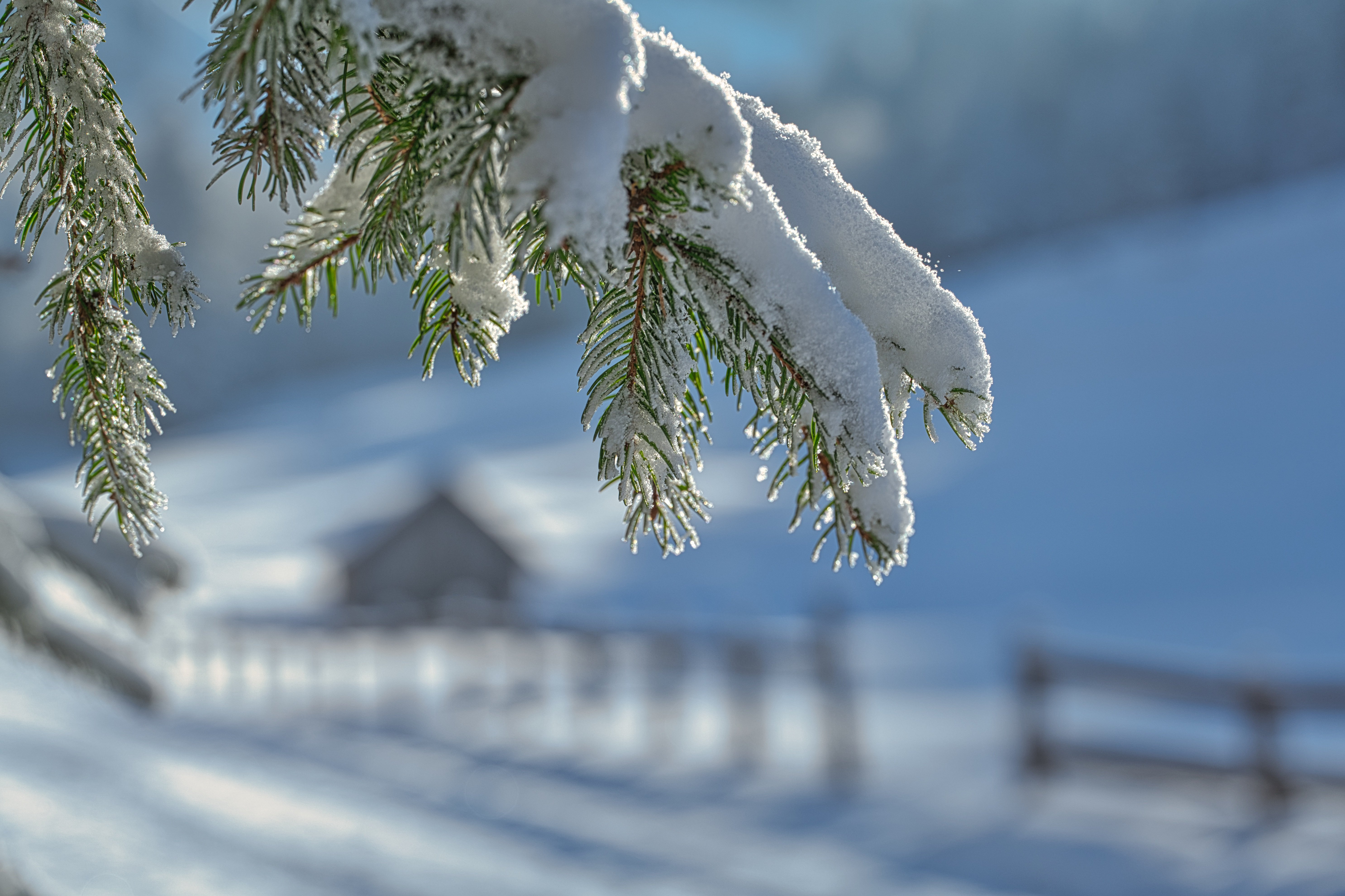ClawTip来了！京东科技首发推出AI智能体的“专属自主零钱包”