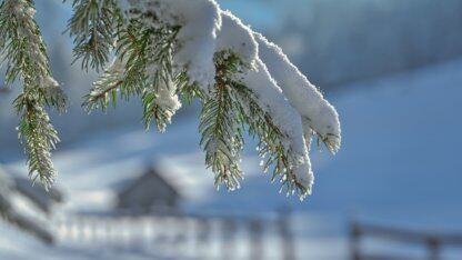 ClawTip来了!京东科技首发推出AI智能体的“专属自主零钱包”