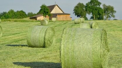 Cursor 2.0 拓展 Composer 能力，助力上下文感知开发