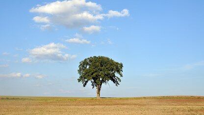大规模替换数据库序列,保障百余个服务平稳运行