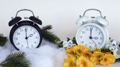 跨越重重“障碍”，我从 PyTorch 转换为了 TensorFlow Lite