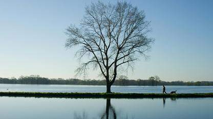 父子组件使用@State/@Prop交互，子组件中UI成功更新，但promise中无法获取到最新的值，原因是什么？