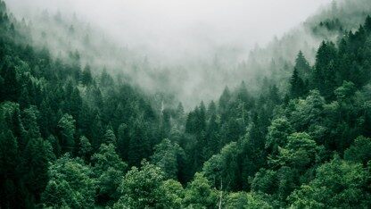 Kubernetes 1.37发布:稳定版Metrics API和Beta版Rootless Kubelet