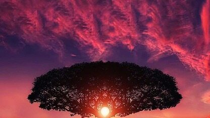 Cloudflare 在边缘部署了主动式 API 漏洞扫描功能