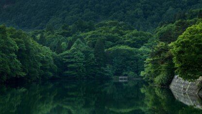 京东公布最新AI进展：推出“龙虾天团”，首次开源大模型JoyAI-LLM Flash