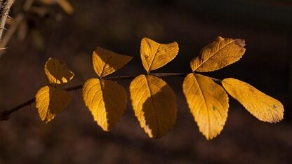 做难而正确的AI Infra创新——专访国产大模型推理引擎xLLM社区负责人刘童璇