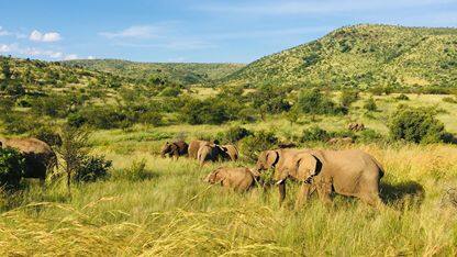 将可理解性作为架构特性：无法理解的系统无法安全演进