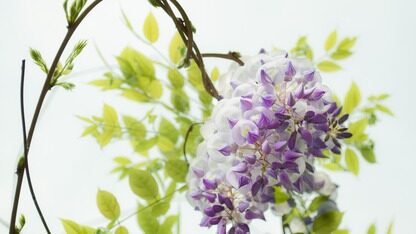 培养下一代Java开发者 ｜InfoQ专访