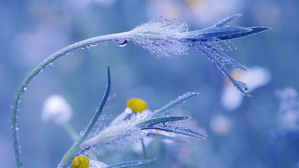 裁错了还是变相降薪？大厂粗暴裁员后又求员工回来，网友：拿什么再爱你？