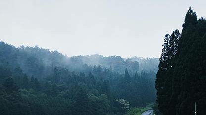 来自 GitHub 的数据表明，AI 工具正在创造“便利循环”，重塑开发者的语言选择