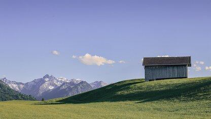 拒绝传统Router“瞎指挥”，多智能体如何实现智能任务分配？