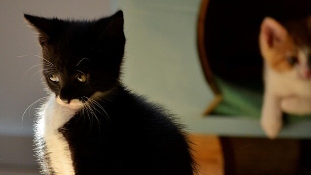 你当初被谁“忽悠”上了云，现在又在被谁“忽悠”下云？｜盘点