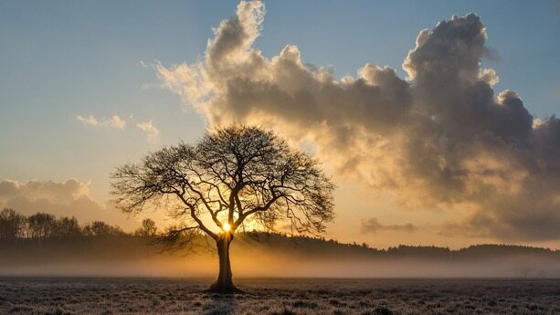 微软开抢年收入上亿美元的 Redis 饭碗？开源性能遥遥领先的 Garnet：无需修改，Redis 客户端可直接接入