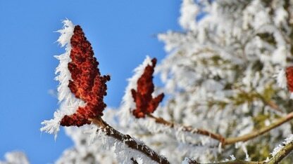 从数据存储到 AI 基建，XSKY 发布全栈AI数据方案破解算力效率难题
