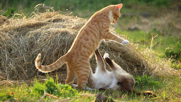 漏洞产生快于识别修复，数字化企业需要什么样的新“安全范式”