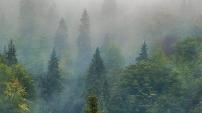 智能体 AI 模式强化软件工程规范性