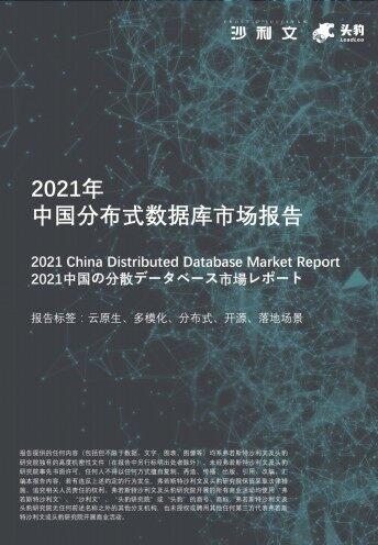 2021年中国分布式数据库市场报告