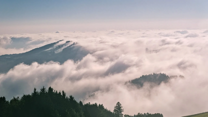 一图看懂鸿蒙电脑