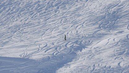 货拉拉用户画像基于 Apache Doris 的数据模型设计与实践