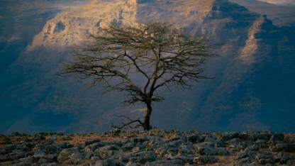 Canvas绘制内容怎么更新？