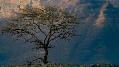 设计企业级可观测性 Docker 扩展