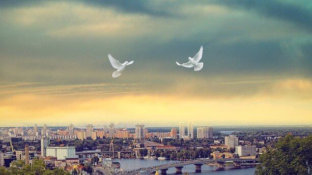 裁员、人去楼空,这家估值80亿的AI编程工具独角兽不行了?