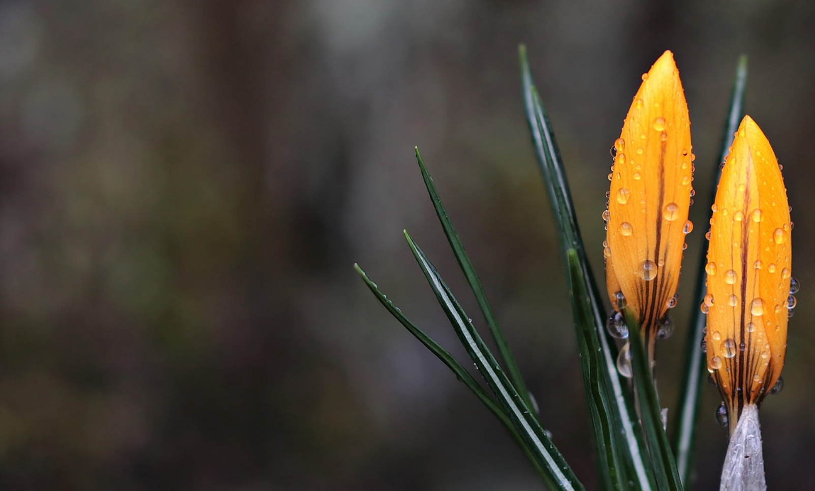 从上下文到长期记忆：大模型记忆工程的架构设计与实践