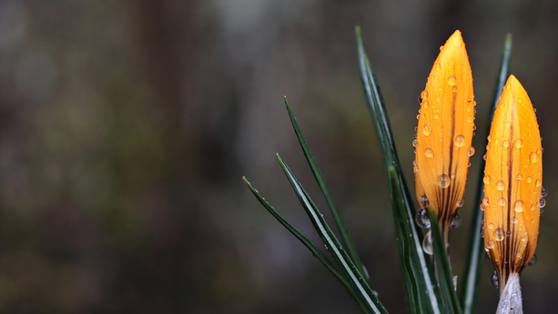 从上下文到长期记忆：大模型记忆工程的架构设计与实践