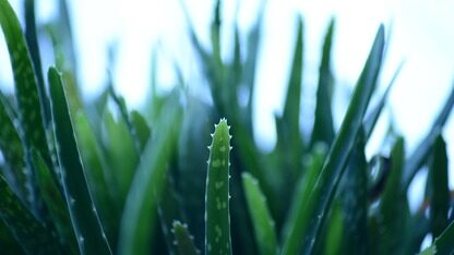 详解如何实现在线聊天系统中的实时消息获取
