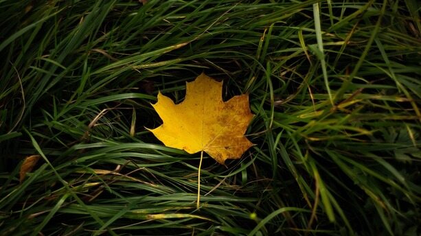 谷歌“压力文化”有多可怕？18年工程技术总监被裁后吐槽：如释重负