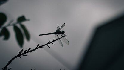 被通知一个月后离职，我改了重要项目里的代码注释