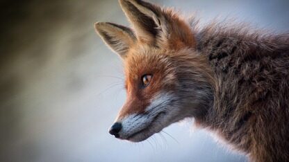 10人创业团干翻行业“潜规则”！全员必须会AI、让跑大模型全程“裸奔”，谷歌老兵不烧钱创业