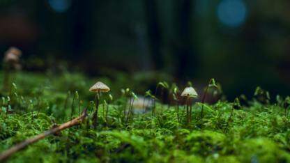 Deep Research 智能体工程化实践：从原型到生产级服务的关键挑战与解法｜QCon北京