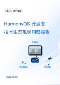 HarmonyOS 开发者技术生态现状洞察报告