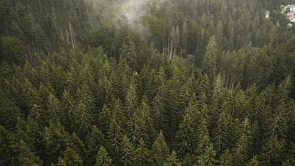 一图看懂 HarmonyOS SDK