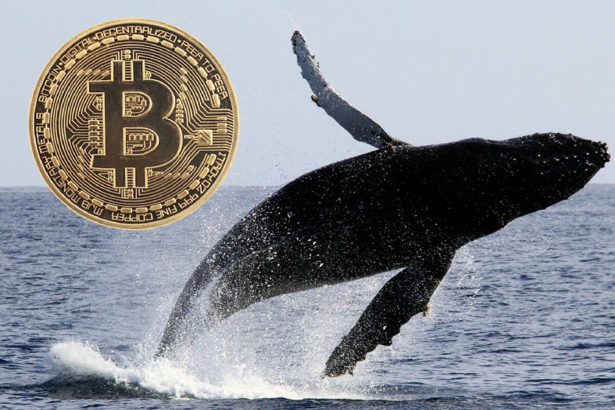 巨鲸丢失2.6亿加密货币！比特币持有者该如何保护自己的财产？