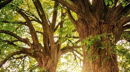 Kubernetes自动扩展功能需要新的可观测性关注点,而不局限于供应商工具