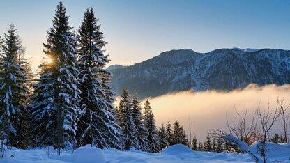 HarmonyOS应用代码混淆技术方案,为你的应用安全保驾护航