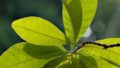 Claude Code 生成 13 种编程语言代码基准测试：动态语言更快更省成本